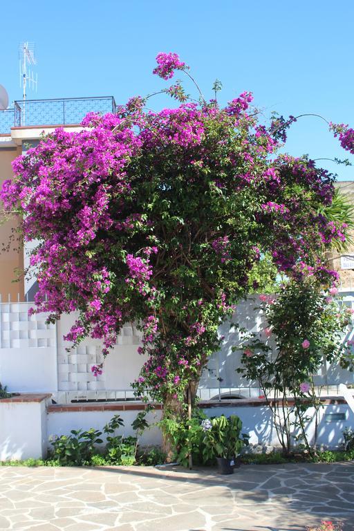 Casa Agrumeto - Locazione Turistica モンデッロ 部屋 写真
